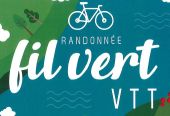 logo-filvert